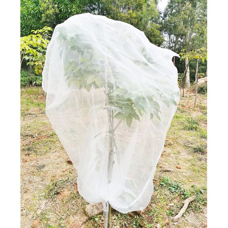 Filet de Protection pour Arbre Fruitier 180 X 180 cm Contre Les Insectes avec Cordon et Fermeture éclair (1/5)