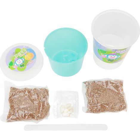 Kit de culture de petites plantes DIY, godet de semis avec terreau, jouet éducatif pour enfants, citrouille (1/5)
