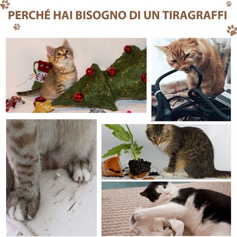 Arbre à chat avec niche, coussin moelleux, revêtement en peluche et poteaux en corde de sisal, tiragraffi pour chat (1/5)
