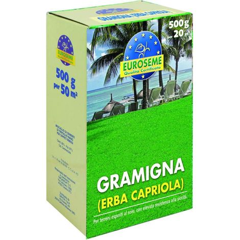 Euroseme Sementi Prato Gramigna - Resistente Siccità - 500g