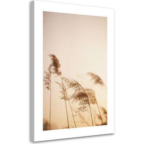 Tableau sur toile Roseau beige 40x60 (1/5)