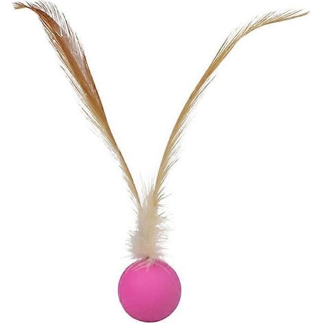 Jouet interactif pour chien avec plumes douces et balles en caoutchouc, idéal pour les jeux de poursuite des molaires chez le chat. (1/5)