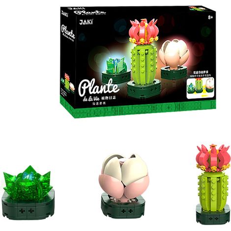 Plateau de succulentes en blocs de construction, plantes en pot, bouquet cadeau pour filles, fleurs assemblées, fleurs artificielles (1/5)