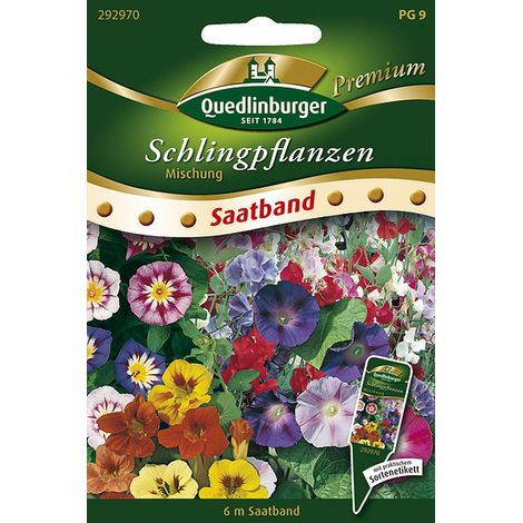 Quedlinburger Saatgut – Plantes grimpantes en mélange – Ruban de semis 6 mètres, hauteur env. 200 cm