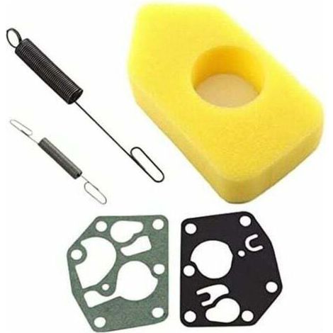 Briggs & Stratton Ersatzteile-Kit: Luftfilter 698369, Feder 691859, Membranen 495770, 795083. Kompatibel mit 3,5-4,5 PS Classic Sprint Quattro 450, 500 und 550 Serie. (1/4)