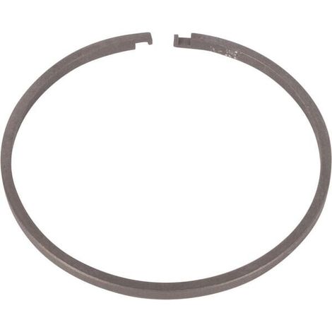 Segment ring ZF 0634402541