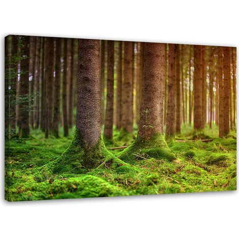 Tableau sur toile Arbres Nature Paysage 60x40 (1/5)