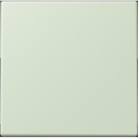 Jung Wippe 1fach, Duroplast lackiert, Serie LS, vert anglais pâle (32042) LC 990 218 (1/2)
