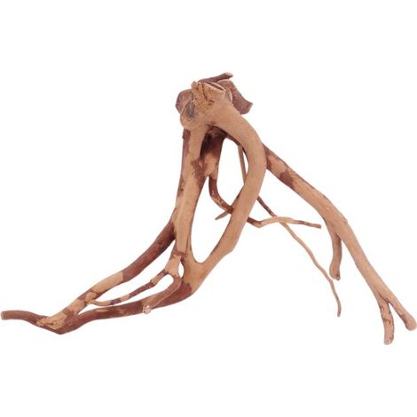 M Moorkienwurzel Nr.4431 Holz Deko Aquascaping