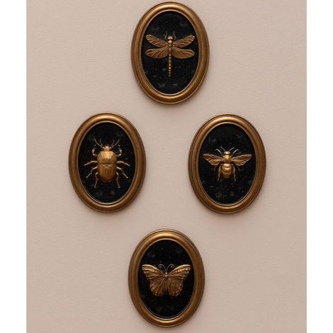 Ensemble 4 cadres insectes Entomologie 13x17cm (1/5)