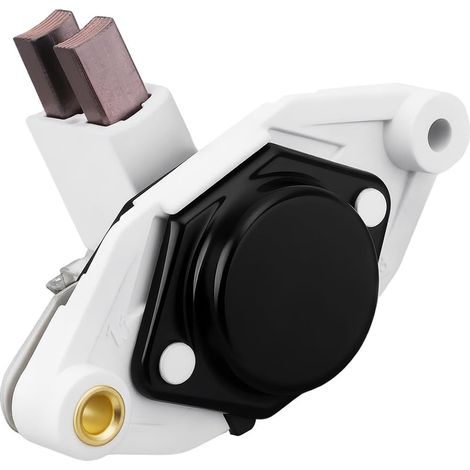 Régulateur d'alternateur 12 V 1197311029 0192052016 Compatible avec Générateurs Véhicules Et équipements électriques Associés (1/5)