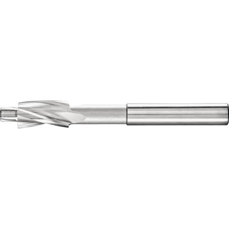 Fraise plate PFERD TOOLS FLS HSS DIN 373 10,0 F 25203102 10 mm HSS 1 pc(s) (1/5)