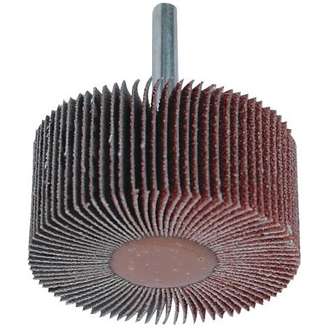 Pack de 5 lames de scie sauteuse TSM5021Bi pour métal 50mm - HANGER - 150211 (1/4)
