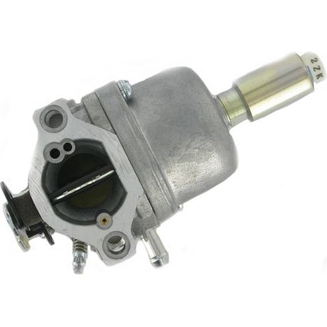 Carburateur Briggs et Stratton 698620 - 799727