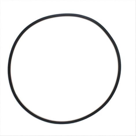 Joint torique de réservoir de filtre pour piscine et spa 27001-0061S O-484 pour SPA- (1/5)