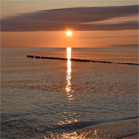 Fototapete 364682 Vliestapete Natur Landschaft 159 x 265 cm Rasch Selection Rot (1/4)