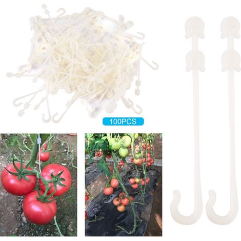 Attaches de soutien pour plantes de jardin - Crochets pour tomates cerises et légumes grimpants (1/5)