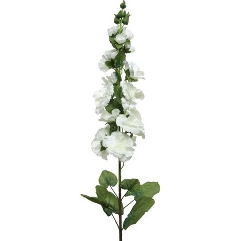 HOLLYHOCK IN STELO