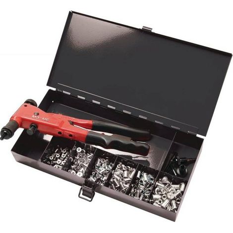 Coffret 300 Écrous à Sertir GO36C avec Pince - Fixation Rapide et Sécurisée - D-Work (1/4)