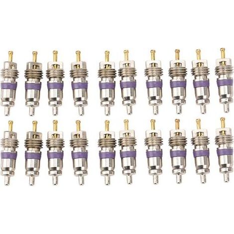 20pcs Car Climating Valve Core Core Automobile Conditionneur de revitateur pour Benz (1/5)
