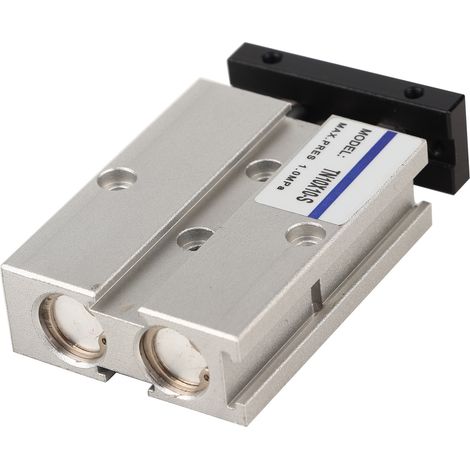 Composants pneumatiques à double effet du vérin TN10 à double tige (1/5)
