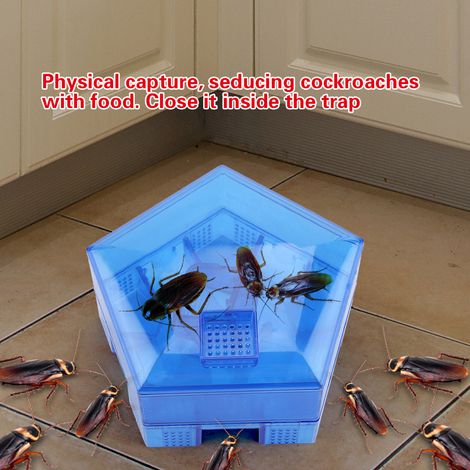 Boîte à cafards réutilisable et non toxique, efficace pour la maison et la cuisine. (1/5)