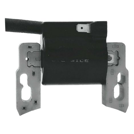Brigg & Stratton Bobina elettronica 100602 100607 100802 100807 10080B (1/3)