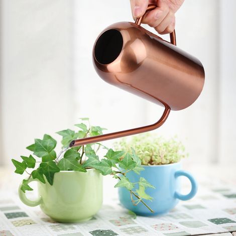 Arrosoir en acier inoxydable de 1,5 L avec long bec, outil pour fleurs et plantes de jardin (1/5)
