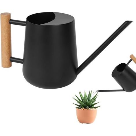 Petit arrosoir de 1 litre pour plantes et usage domestique, avec long bec verseur pour bonsaïs et plantes d'intérieur, noir. (1/5)