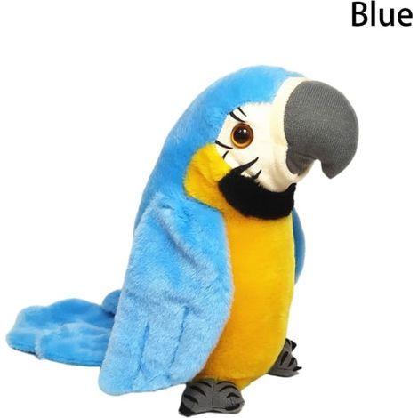 Perroquet parlant Oiseau parlant Bleu (1/5)