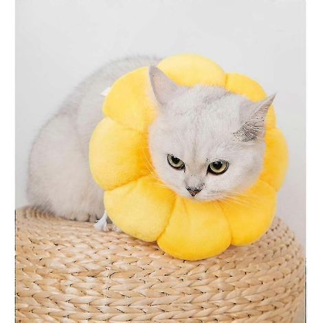 Collier arc-en-ciel pour chien et chat avec motif tournesol, coussin cervical anti-lichette, ajustable, confortable, 1 pièce (1/2)