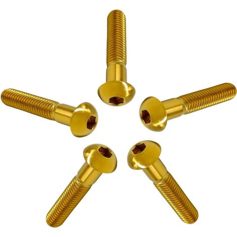 Vis à Tête Bombée M4/M5/M6/M8 en Titane GR5, 5 Pièces Vis à Tête de Bouton Boulons à Six Pans Creux Allen Boulon à Douille Hexagonale Vis à Métaux (1/5)