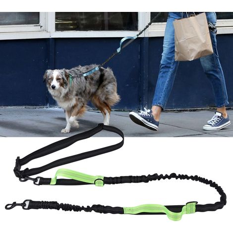 Laisse de jardin portable pour animaux de compagnie, laisse de course, réfléchissante, laisse rétractable pour chien avec deux poignées, verte. (1/5)