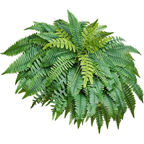 Mophorn Fougère Artificielle 1270 mm, Plante de Boston avec 96 Frondes, Conception en Soie et LDPE pour Décoration Intérieure et Extérieure, Maison, Bureau, Porche, Salon, Jardin, Lot de 2 (1/2)