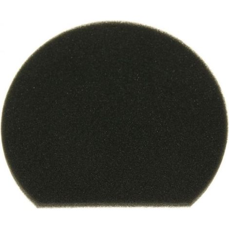 Filtre mousse 12022750 pour Aspirateur BOSCH , CLEANN'N