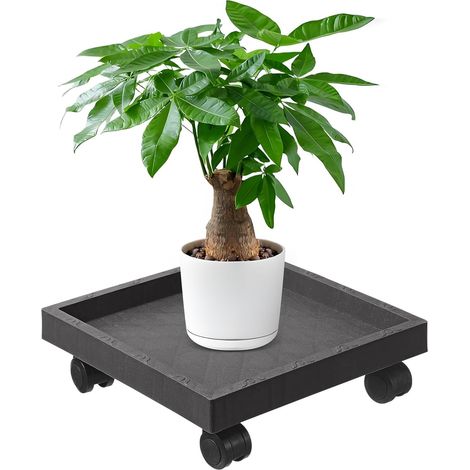 Blumenuntersetzer mit Rollen Outdoor Quadratischer