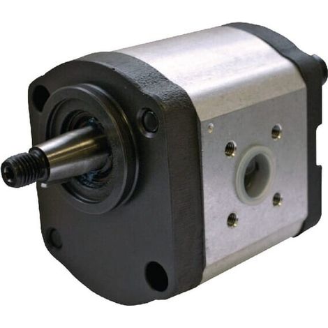 Pompa ad ingranaggi AZPF-11-019LCP20KB-S0007 Bosch Rexroth BOSCH REXROTH 0510615318 (1/3)