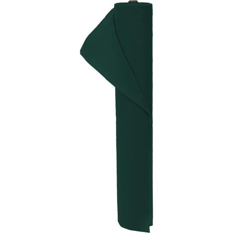 Frostschutz-Pflanzen-Vlies 120 gsm 10 x 3,2 m Vliesstoff Grün vidaXL