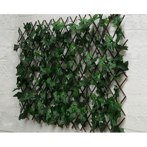Traliccio Edera Rampicante Verde Frangivista Recinzione Giardino Balcone 1x2mt (1/2)