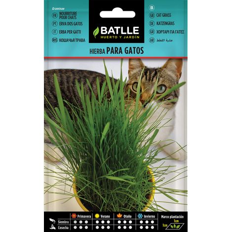 Batlle Hierba para Gatos - 3 Bolsitas