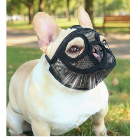 Muselière pour Chien à Nez Court - Masque Anti-Morsure pour Bouledogues compatible avec Huawei, Samsung, APPLE, Garmin (1/5)