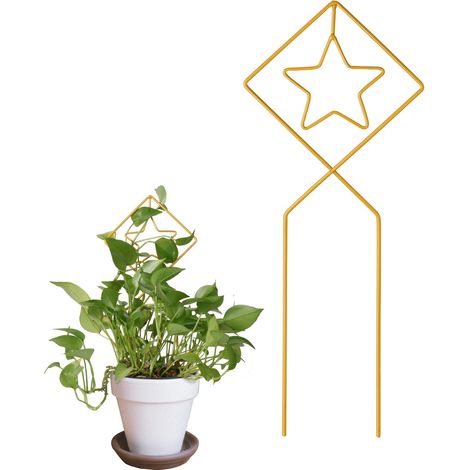 Treillis pour plantes grimpantes, support en forme de cœur pour plantes grimpantes, décoration de jardin créative (1/5)