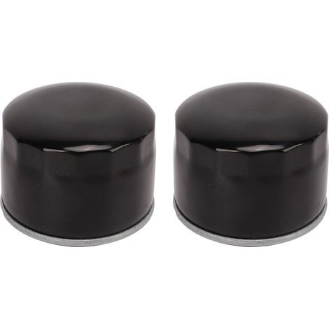 2 pièces filtre à huile GY20577 remplacement du filtre à carburant pour John Deere LX 288 LA 130 135 STX 38 46 LT 133 LTR 155 (1/5)