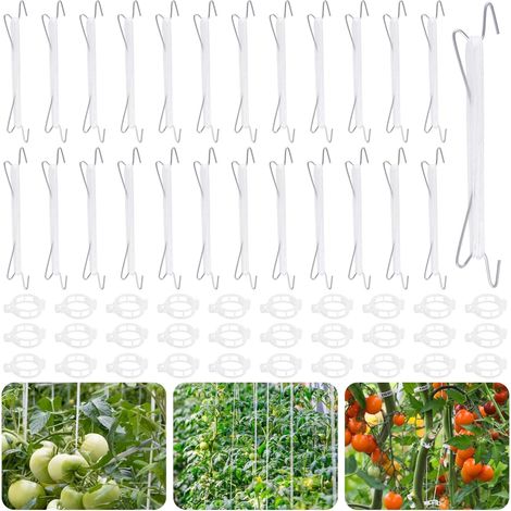 25 Crochets de Tomate - Clips de Plante - Corde de Soutien en Nylon - Pour Légumes et Vignes - Blanc - 10 m