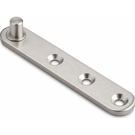 Charnière Pivot Inox Épaisse pour Porte Battante 99,4 mm (1/5)