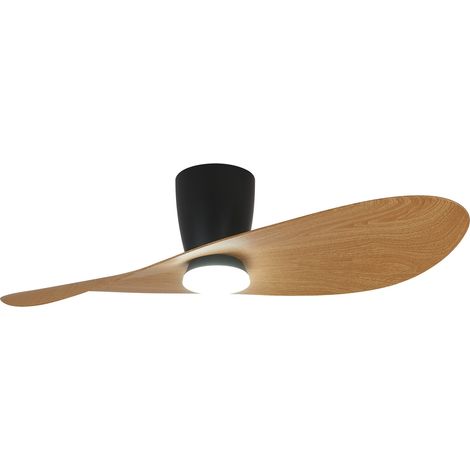 Ventilateur, Plafonnier Ventilateur SURFER led Noir en Plastique, MANTRA