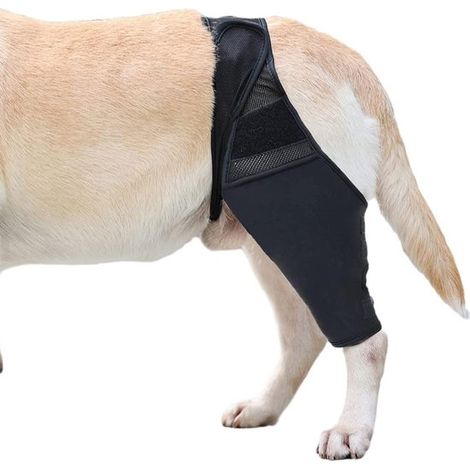 Attelle pour genouillère de chien - Attelle de hanche pour animaux de compagnie offrant soutien et confort sans compromis - Combinaison intégrale (1/5)