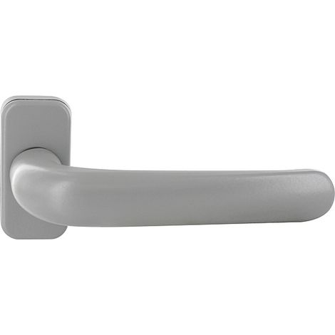 Béquille double sur rosace ovale : PRIMA PLUS - GIESSE - Gris 9006 (1/2)