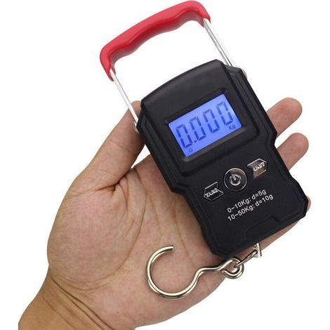 Balance A Crochet Suspendue, Double Precision, Retroeclairage De L'Ecran Lcd, 50Kg / 5G (1/5)