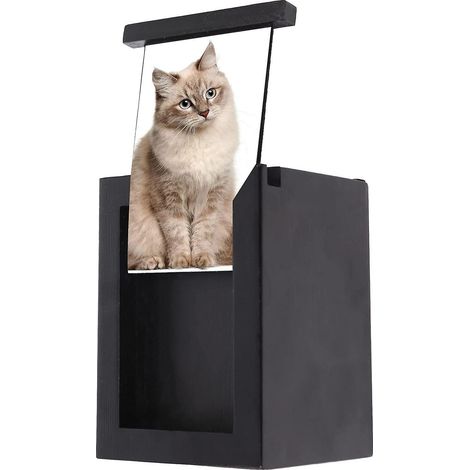 Gedenkurne für Haustiere mit Bilderrahmen, hölzerne Erinnerungsurne für Katzen (1/4)